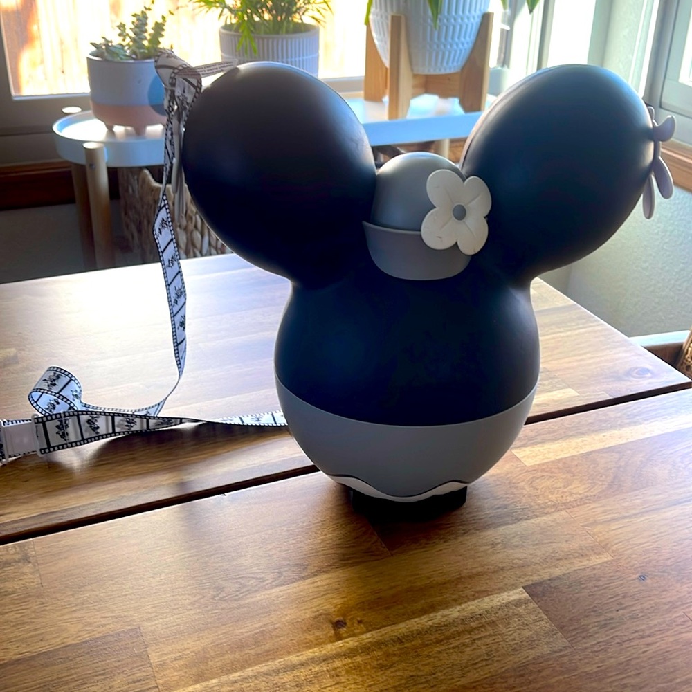 Walt Disney world popcorn bucket